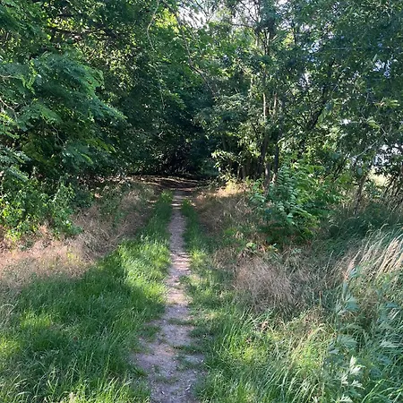 Exklusive Bei Berlin, Bis 5 Gaeste, Grosse Terrasse, Garten Lägenhet