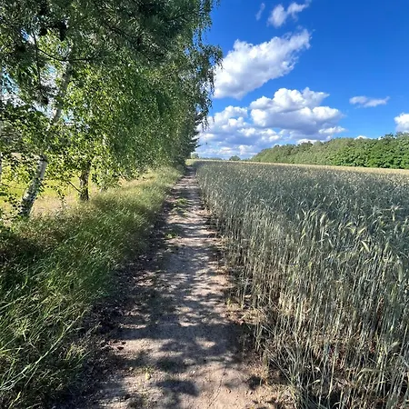 Exklusive Bei Berlin, Bis 5 Gaeste, Grosse Terrasse, Garten アパート *
