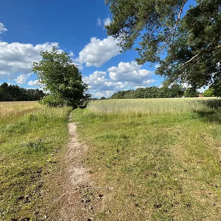 Exklusive Bei Berlin, Bis 5 Gaeste, Grosse Terrasse, Garten アパート Bestensee
