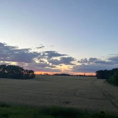 Exklusive Bei Berlin, Bis 5 Gaeste, Grosse Terrasse, Garten アパート Bestensee