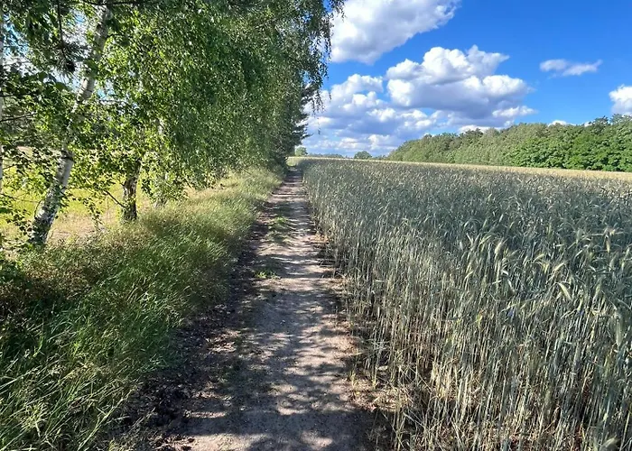 Exklusive Bei Berlin, Bis 5 Gaeste, Grosse Terrasse, Garten شقة *