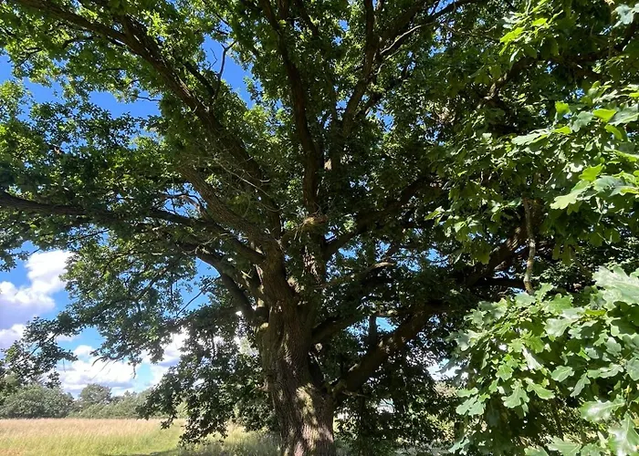 شقة Exklusive Bei Berlin, Bis 5 Gaeste, Grosse Terrasse, Garten *