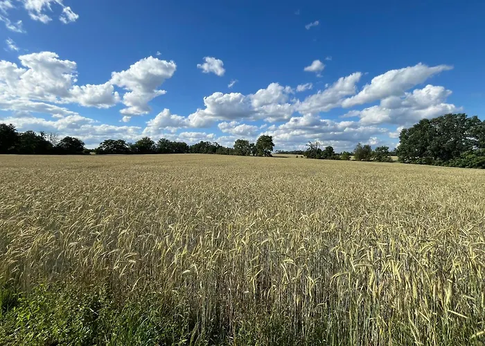 Exklusive Bei Berlin, Bis 5 Gaeste, Grosse Terrasse, Garten شقة