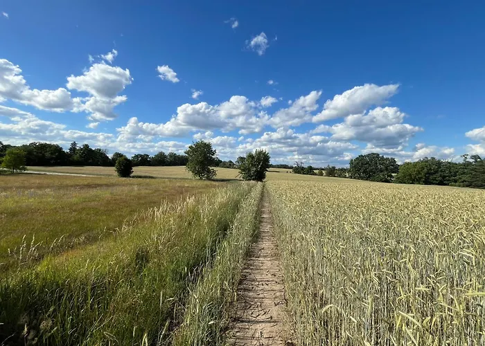 Exklusive Bei Berlin, Bis 5 Gaeste, Grosse Terrasse, Garten شقة *