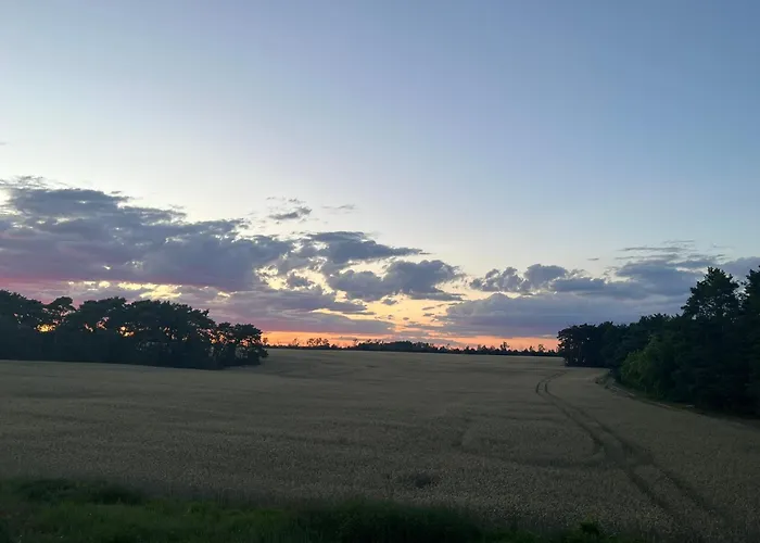 Exklusive Bei Berlin, Bis 5 Gaeste, Grosse Terrasse, Garten شقة Bestensee