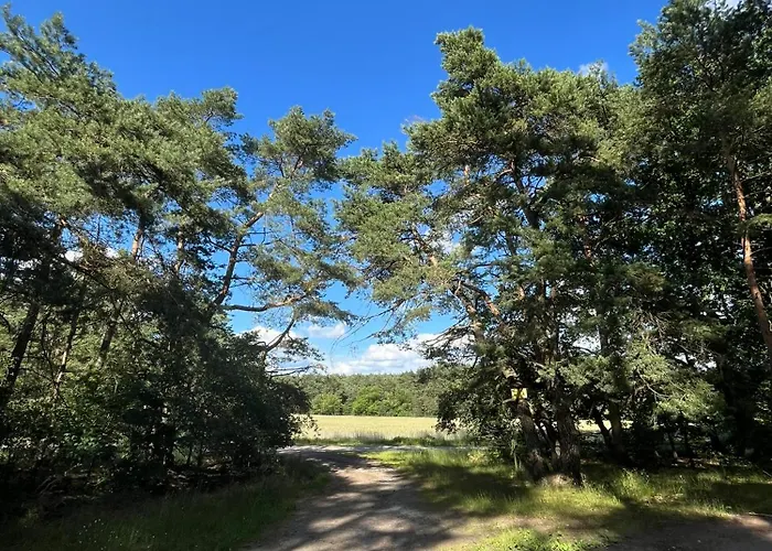 Exklusive Bei Berlin, Bis 5 Gaeste, Grosse Terrasse, Garten Bestensee